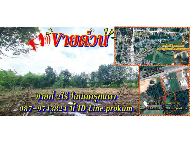 ขายที่ดินเพชรบูรณ์ 2ไร่โฉนดครุฑแดง ใกล้ๆ ตลาดสดบ้านท่าพล