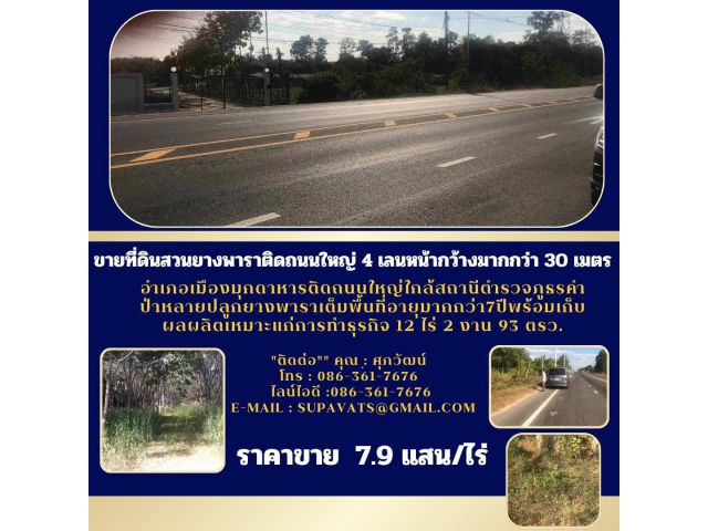 ขายที่ดินอำเภอเมืองมุกดาหารติดถนนใหญ่ใกล้สถานีตำรวจภูธรคำป่าหลายปลูกยางพาราเต็มพื้นที่อายุมากกว่า7ปีพร้อมเก็บผลผลิต