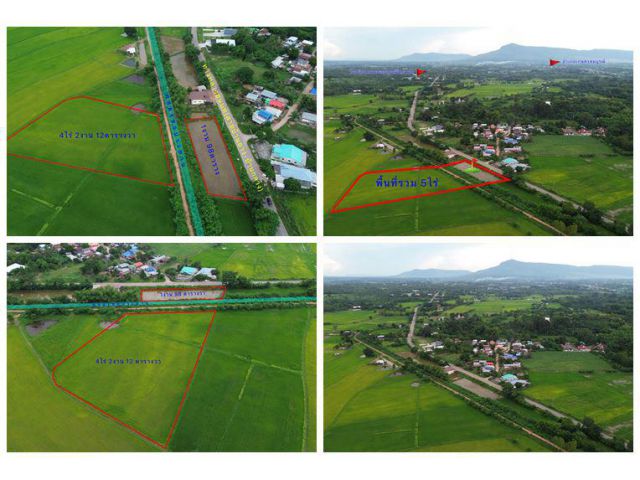 Land for sale Chaiyaphum ขายที่ดินชัยภูมิ มี 2 แปลง สามารถถมดิน ทำบ้าน ทำธุรกิจค้าขายได้ โทร 061-1195112