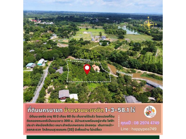 ที่ดินพร้อมบ้านสวนมะยงชิด นครนายก 1-3-58.1 ไร่ ติดคลองหนองรี มะยงชิดอายุ 10 ปี เกือบ 60 ต้น เก็บขายทำเงินได้แล้ว