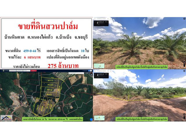 ขายที่ดินสวนปาล์ม ขนาด 459-0-44 ไร่  **บ้านหินตาด**  อ.บ้านบึง ชลบุรี  (ไร่6แสนบาท)