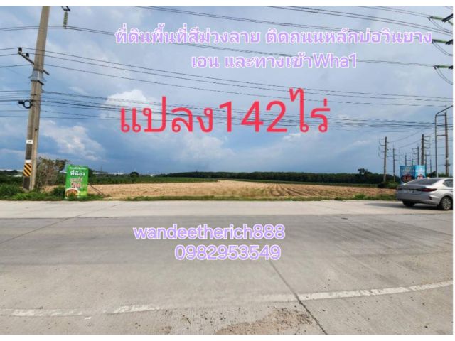 ขายที่ดิน142ไร่