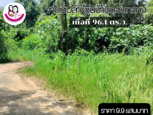 ขายที่ดินเปล่า โซนบ้านดอนกลาง เนื้อที่ 96.1ตารางวา