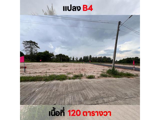 ขายที่ดิน ใกล้ที่ว่าการอำเภอหนองกุงศรี 700 ม.