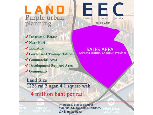 Purple urban planning land, EEC Size 1228 rai 2 ngan 4.1 square wah