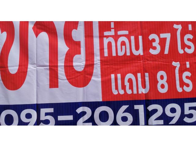 (ขายด่วน)​ ที่ดินโฉนดพร้อมโอน 37 ไร่ (แถม 8 ไร่)​ ไม่มีภาระใดๆ ที่ดินสวยไกล้ชุมชน เหมาะที่จะสร้างบ้านจัดสรร ทำโครงการต