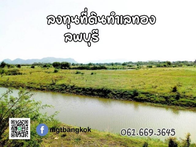 ขายที่ดินสวย หรือร่วมลงทุน ทำเลดี เมืองลพบุรี  95ไร่