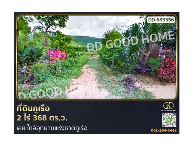 ที่ดินภูเรือ 2 ไร่ 368 ตร.ว. เลย ใกล้อุทยานแห่งชาติภูเรือ