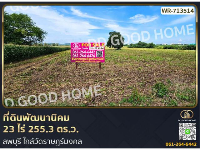 ที่ดินพัฒนานิคม 23 ไร่ 255.3 ตร.ว. ลพบุรี ใกล้วัดราษฎร์มงคล