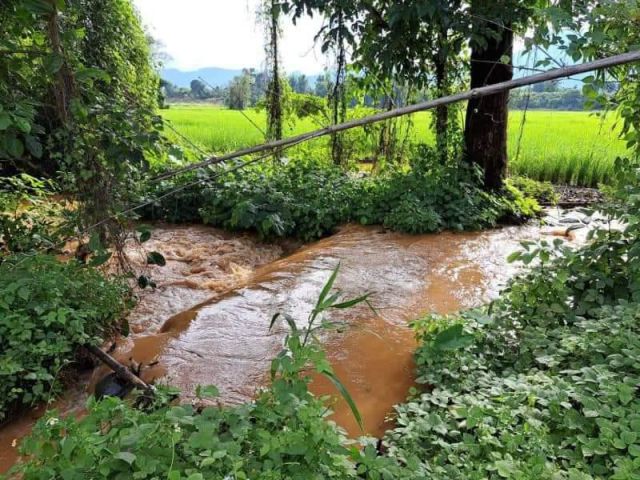 ขายที่สวนลำใยวิวดอยหลวงติดลำห้วยโฉนดพร้อมโอน