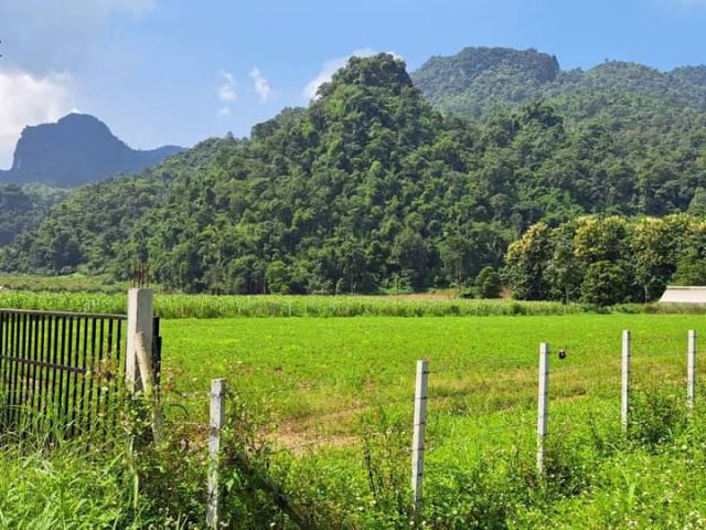 ขายที่ดินตำบลเชียงดาววิวดอยหลวงโฉนดพร้อมโอน