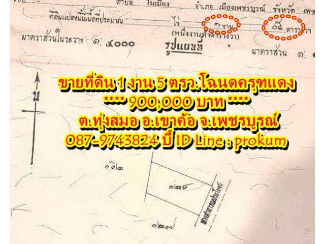 ขายที่ดิน 1งาน 5 ตรว.เขาค้อ 900,000 บาท เห็นวิวทุ่งกังหันลม โฉนดครุฑแดง ติดถนนลาดยาง น้ำไฟถึง 0879743824 บี้