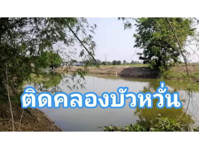 ●●●ขายที่ดินติดคลอง ใกล้บางบัวทอง●●●