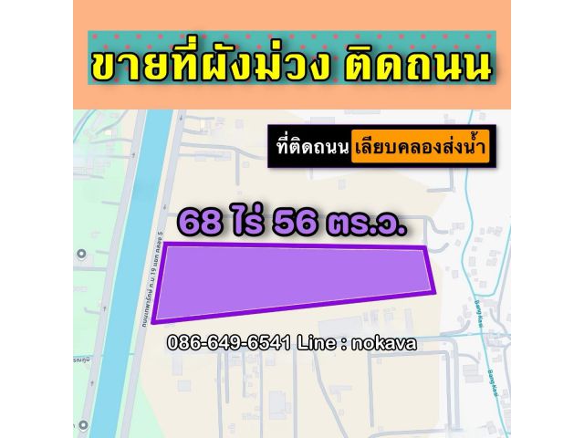 ขายที่ผังม่วง ติดถนน แปลงใหญ่ โฉนดเดียว ถนน เลียบคลองส่งน้ำสุวรรณภูมิ