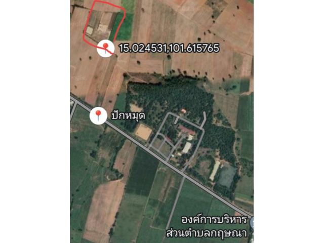 ที่ดิน 12 ไร่ ใกล้แหล่งชุมชน พร้อมบ้านพักและสระเก็บน้ำ( 1ไร่ )