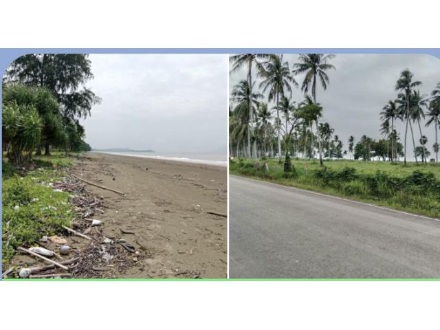 ขายที่ดินโฉนดติดชายหาดที่ทะเลหาดยาว