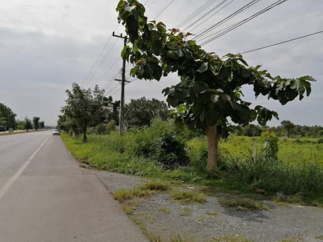 ขายที่ดินติดถนนฝั่งขาออกเมืองตำบลเชิงดอยดอยสะเก็ตพร้อมโอน