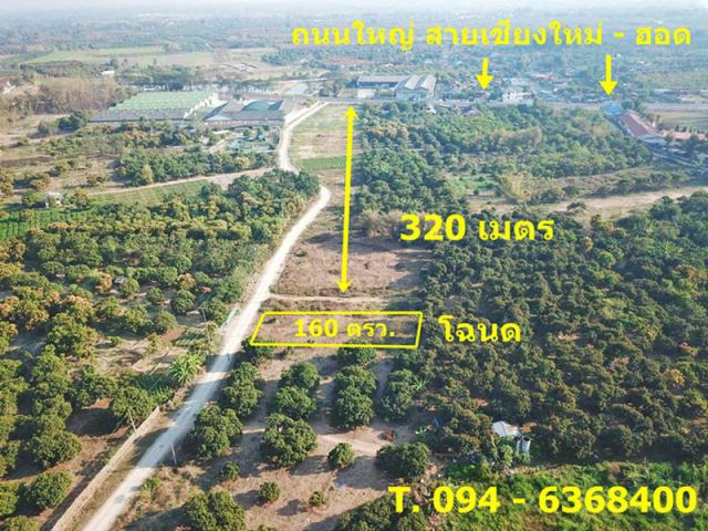 ((( ที่ดินวิวดอยโฉนด 160 ตรว.= 385,000 บ. (ทางสาธารณะฯ+ใกล้ถนนใหญ่+น้าไม่ท่วม) อ.ดอยหล่อ เชียงใหม่ **เจ้าของขาย+รวมโอน