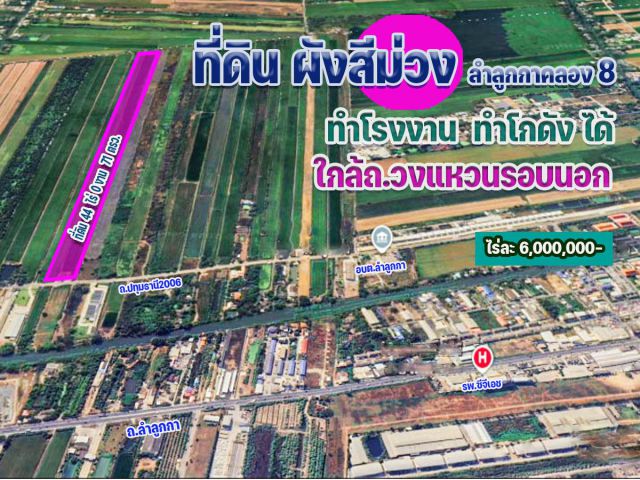 ขายที่ดิน 41 ไร่ ผังสีม่วง ลำลูกกาคลอง 8 ทำโรงงาน สร้างโกดังได้