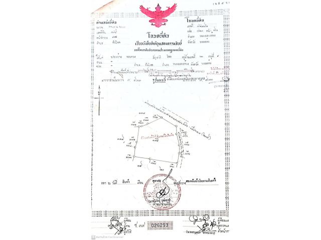 ขายที่ดิน 2 แปลงติดกัน รวม 24-0-84 ไร่