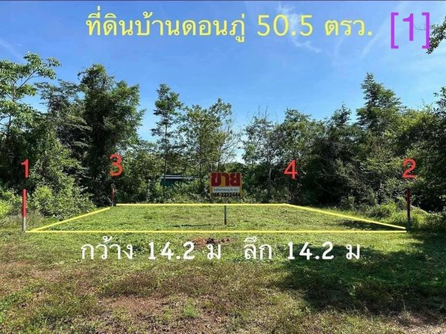 ที่ดิน 50 ตรว. ใกล้ วัดป่าดอนภู่ [1]