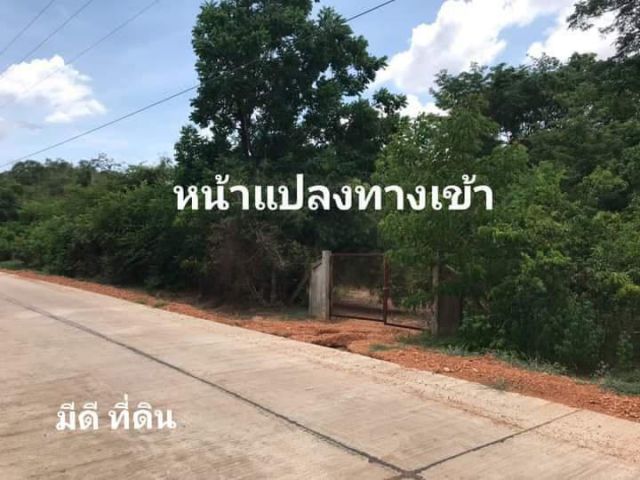 ขายที่ดิน40ไร่