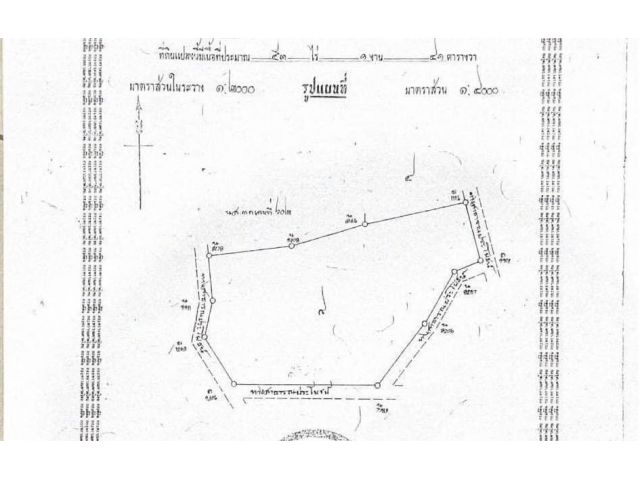 R624-035ขายที่ดินผังสีเหลือง53-0-95.4 ไร่ (หน้ากว้าง 95 เมตร ลึก 421 เมตร ราคาไร่ละ : 3,000,000 บาท มีโรงงานสร้างเหมาะสร้างโรงงานหรือโค