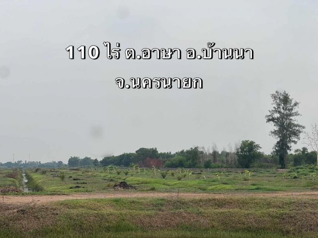 ขายที่ดิน 109-1-63.2 ไร่ ผังเมืองสีเขียว คลอง 31 ต.อาษา อ.บ้านนา จ.นครนายก ตั้งอยู๋ติดถนนซอยราษฎร์บำรุง หรือ ถนนเลียบคลอ