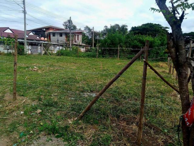 ขายที่ดินบ้านร้องเรือนคำตำบลป่าแดดติดถนนพร้อมโอน