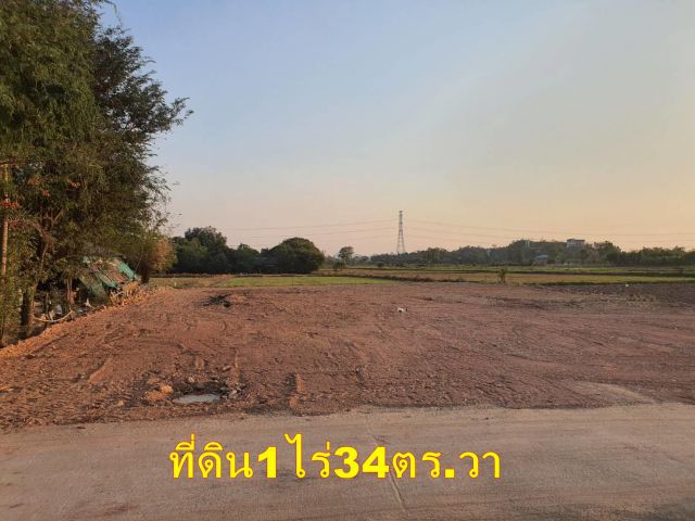 ที่ดินราชบุรีใกล้ตัวเมือง1ไร่34ตร.วา ในหมู่บ้านหนองสะเดา ใกล้วัดห้วยหมูราชบุรี ห่างตัวเมืองราชบุรีเพียง3กม.