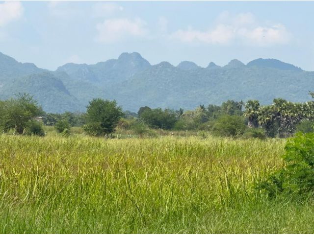 ขายที่ดิน 11 ไร่ 100 ตร.ว ต.เกาะสำโรง อ.เมือง จ.กาญจนบุรี