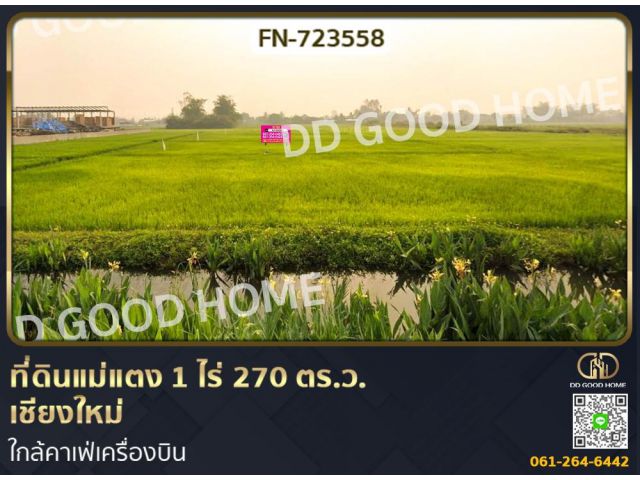 ที่ดินแม่แตง 1 ไร่ 270 ตร.ว. เชียงใหม่ ใกล้คาเฟ่เครื่องบิน