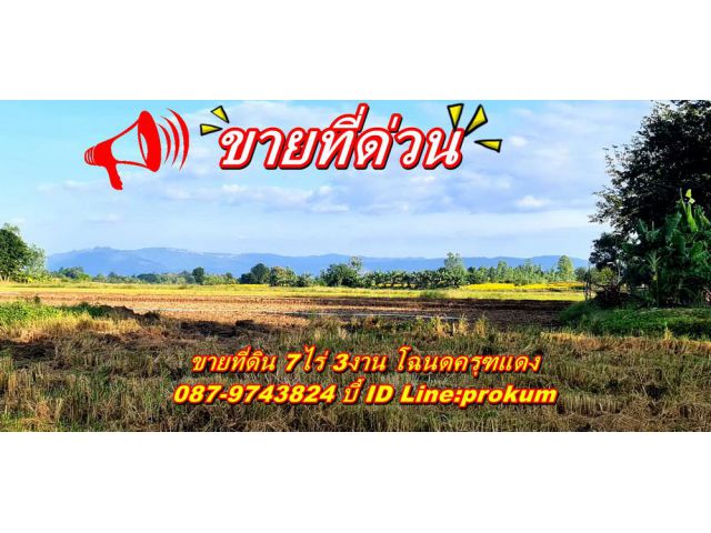 ขายที่ 7ไร่ ต.วังชมภู