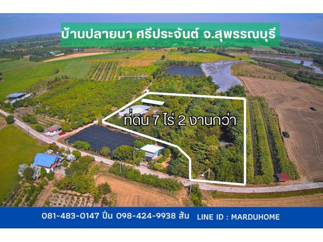 ที่ดิน พร้อมโรงงาน สวนป่า เนื้อที่ 7 ไร่ 2 งานกว่า ต.ปลายนา อ.ศรีประจันต์ จ.สุพรรณบุรี