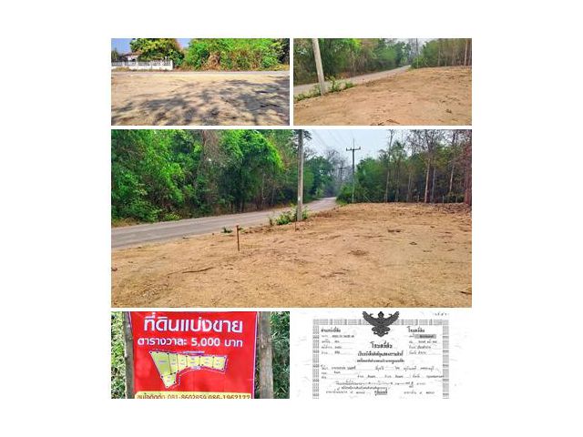 ที่ดินตำบลพิชัย หลัง รพ.ค่ายฯ เมืองลำปาง ทำเลสวย เพียง ต.ร.ว.ละ 5,000 บาท