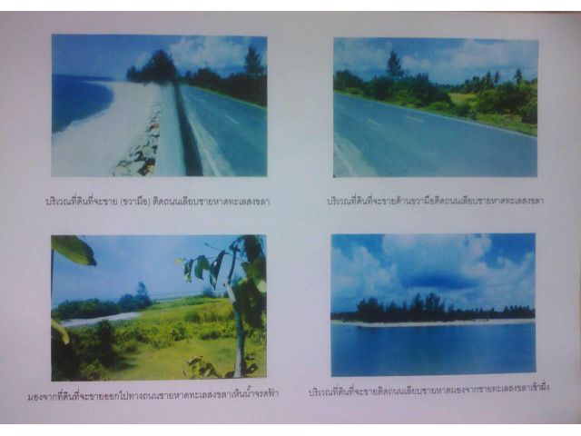 Land 40 Rai for sale at Chalatat Beach , Songklที่ดิน 40 ไร่ 1งาน 12 ตารางวา ติดชายหาดชลาทัศน์ ต.นาทับ อำเภอจะนะ จ.สงขลา