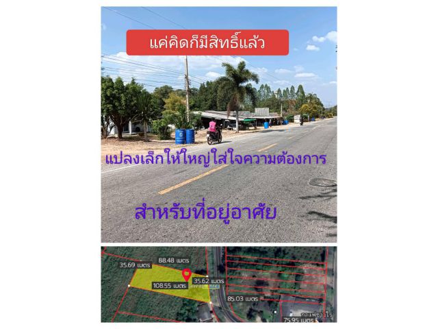 โปรดเชื่อในแปลงที่เป็นจริง โปรดไว้วางใจแปลงที่มีคุณค่าอาหารทางสายตา และมีคุณสมบัติในตัวของมันเองที่ไม่เกรงใจใคร แปลงนี้คุณค่าไม่เคยเสื่อมถอย