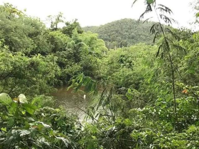 ขายที่ดินบ้านท่าไม้ลุงตำบลน้ำแพร่หางดงติดลำห้วยพร้อมโอน