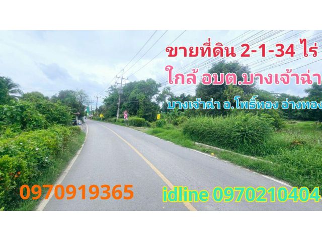 ขาย ที่ดิน บางเจ้าฉ่า 2 ไร่ 1 งาน 34 ตร.วา ติดถนน ถมแล้ว อ.โพธิ์ทอง จ.อ่างทอง