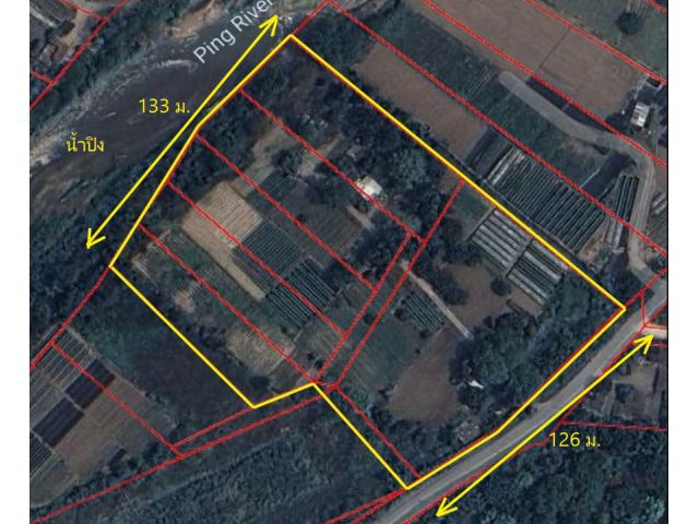 L526-ขายที่ดินเปล่า 14-2-79 ไร่ (ติดน้ำปิงยาว 133 เมตร) ต.เหมืองแก้ว อ.แม่ริม จ.เชียงใหม่