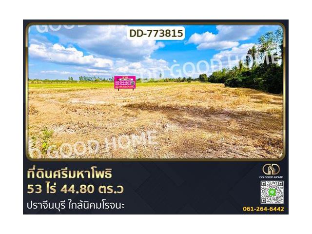 ที่ดินศรีมหาโพธิ 53 ไร่ 44.80 ตร.ว ปราจีนบุรี ใกล้นิคมโรจนะ