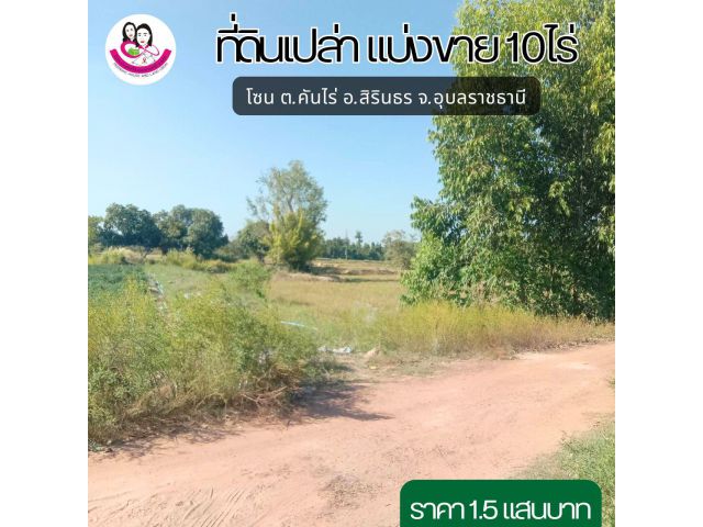 ที่ดินแบ่งขาย 10ไร่  ต.คันไร่ อ.สิรินธร จ.อุบลราชธานี