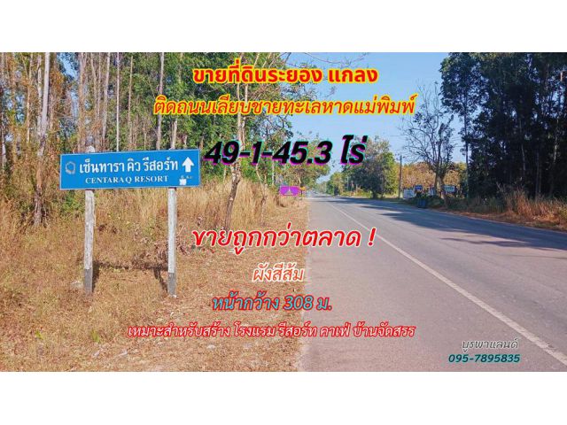 ขายที่ดินระยอง แกลง 49-1-45.3 ไร่ ติดถนนเลียบชายหาดทะเลหาดแม่พิมพ์