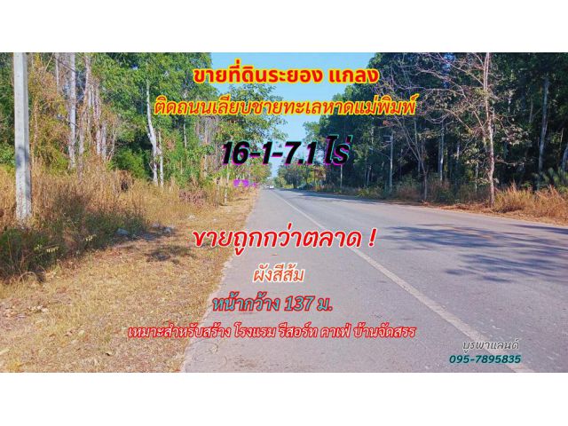 ขายที่ดินระยอง แกลง 16-1-7.1 ไร่ ติดถนนเลียบชายหาดทะเลหาดแม่พิมพ์