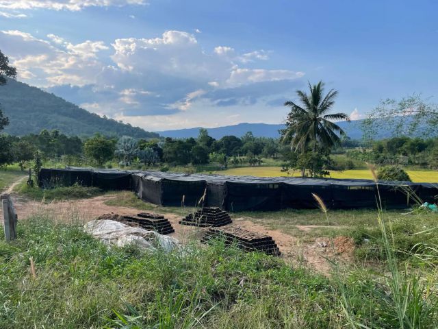 ที่สวยใกล้เขาภูเรือ ที่ราบไม่ต้องถม มีไฟฟ้าประปาพร้อมอยู่ ติดลาดยางบรรยากาศดี