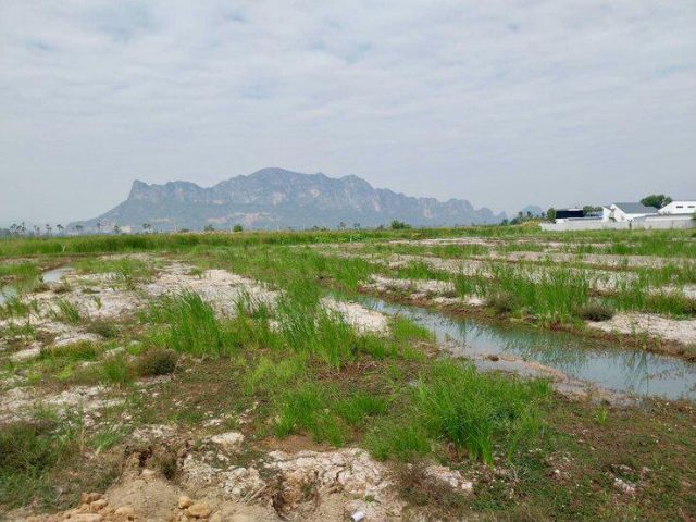 ขายที่ดินเปล่า วิวภูเขา ใกล้หาดชะอำ เนื้อทึ่ 16-1-84 ไร่ ถนนเพชรเกษม ตำบลชะอำ อำเภอชะอำ จังหวัดเพชรบบุรี