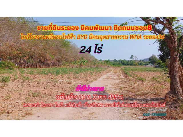 ขายที่ดินระยอง นิคมพัฒนา 24ไร่ ใกล้โรงงานรถไฟฟ้า BYD นิคมอุตสาหกรรม WHA Rayong 36