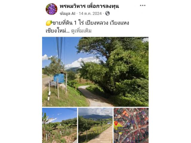 ขายที่ดิน 1 ไร่ เปียงหลวง เวียงแหง เชียงใหม่