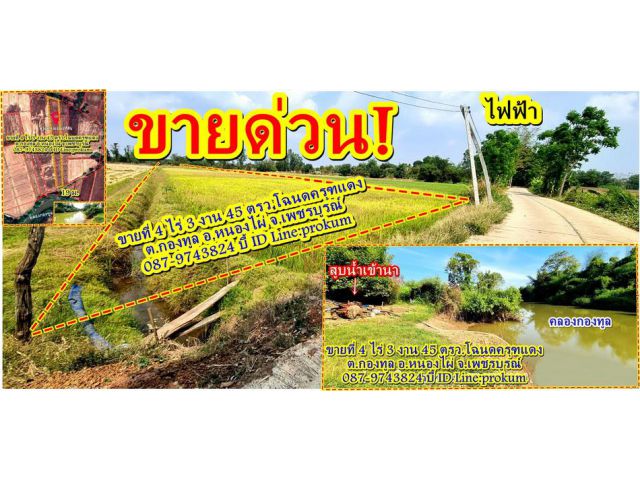 ขายที่นาเพชรบูรณ์ 4 ไร่ 3 งาน 45 ตรว. โฉนดครุฑแดง ติดคลองน้ำ(คลองกองทูล)