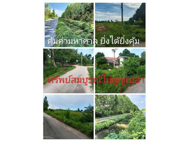 ที่นี่พื้นที่ ราชบุรีเมืองโอ่ง อ.บ้านโป่งเมืองเจริญ ขอนำเสนอที่ดินแปลงสวยแปลงเท่ากันแต่ความหมายต่างกัน ครบเครื่องเรื่องที่ดินเห็นแล้วถูกใจยังไงก็คุ้ม